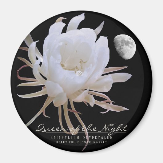 Königin Night ネ die グ des. Magnet (Vorne)