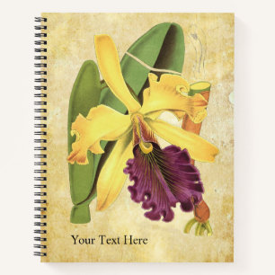 Königin-Orchis-Notizbuch Notizblock