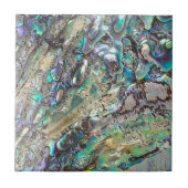 Königin paua Muschel Fliese (Vorderseite)