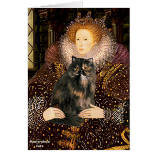 Königin - Persian Calico cat