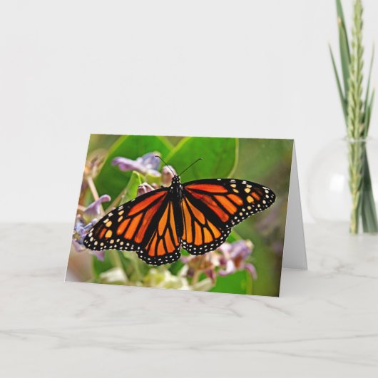Königin von Orange Karte (Vorderseite)