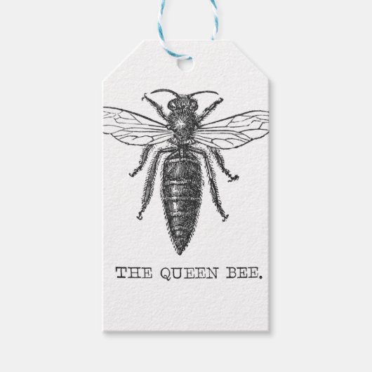 Königinnen-Bienen-Käfer-Insekt-Antik-Illustration Geschenkanhänger (Vorderseite)