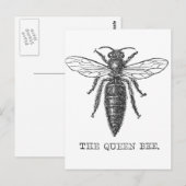 Königinnen-Bienen-Käfer-Insekt-Antik-Illustration Postkarte (Vorne/Hinten)