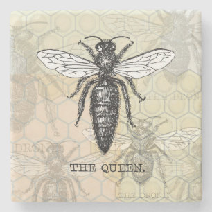 Königinnen-Bienen-Käfer-Insekt-Antik-Illustration Steinuntersetzer