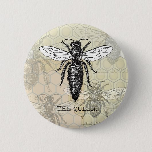 Königinnen-Bienen-Käfer-Insekt-antike-Illustration Button (Vorderseite)