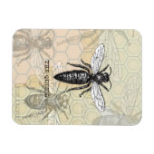 Königinnenbiene Käfer Insekt Antik Illustration Magnet (Horizontal)