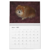 KÖNIGINsweetie-SPITZ Kalender (Mär 2027)