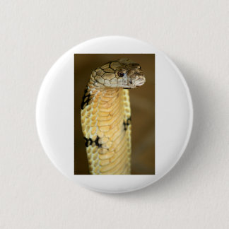 Königkobra Button
