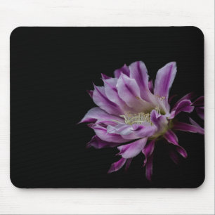 Königlich violette und weiße Kaktusblüte Mousepad