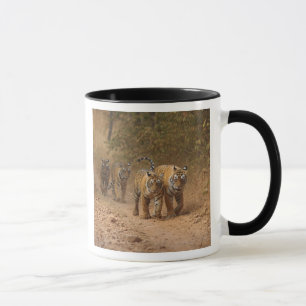 Königliche Bengal-Tiger in Bewegung, Ranthambhor Tasse