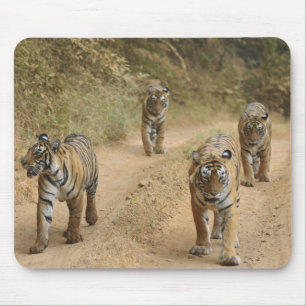Königliche Bengal-Tiger Mousepad