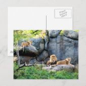 Königliche Familie Postkarte (Vorne/Hinten)