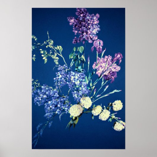 Königliche Freiheit Poster (Vorne)