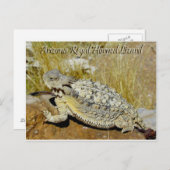 Königliche gehörnte Eidechse Arizonas Postkarte (Vorne/Hinten)