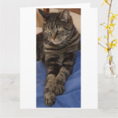 Königliche große Gruß-Karten Daves Karte (Gelbe Blume)