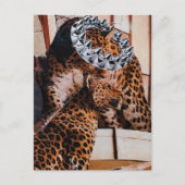Königliche Großkatzen-Collage Postkarte (Vorderseite)