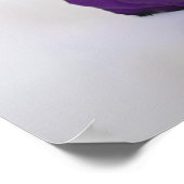 Königliche Lila Rose Elegant 17 Tafelübersicht Poster (Ecke)