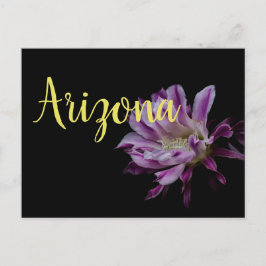 Königliche Lila und weiße Kakteen blühen Postkarte