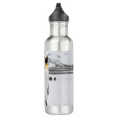 Königliche Pinguine Edelstahlflasche (Rechts)