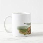 Königliche Seeschwalbe, John Audubon Kaffeetasse (Links)