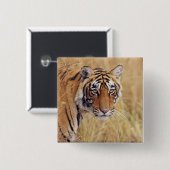 Königlicher Bengal-Tiger Button (Vorne & Hinten)