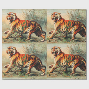 Königlicher Bengal-Tiger Geschenkpapier