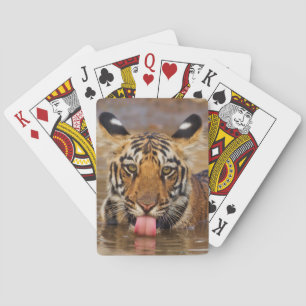Königlicher Bengal-Tiger-Jungtier, Wasser trinkend Spielkarten