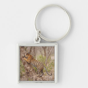 Königlicher Bengal-Tiger klettert auf den Baum, Schlüsselanhänger