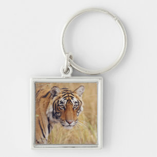 Königlicher Bengal-Tiger Schlüsselanhänger