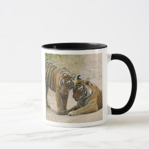 Königlicher Bengal-Tiger und Jungtier - Berührung Tasse