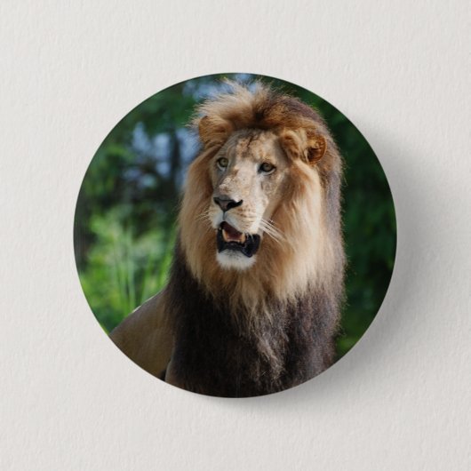 Königlicher Löwe-Knopf Button (Vorderseite)