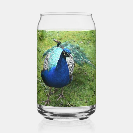 Königlicher Pfau-Power Dosenglas (Vorderseite)