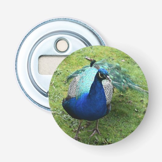 Königlicher Pfau-Power Flaschenöffner (Vorderseite)