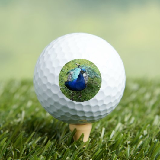 Königlicher Pfau-Power Golfball (Insitu T-Shirt)