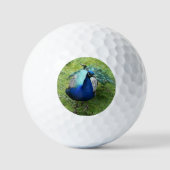 Königlicher Pfau-Power Golfball (Vorderseite)