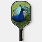 Königlicher Pfau-Power Pickleball Schläger (Rückseite)