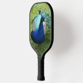 Königlicher Pfau-Power Pickleball Schläger (Links)