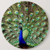 Königlicher Regentschafts-Pfau Button (Vorderseite)