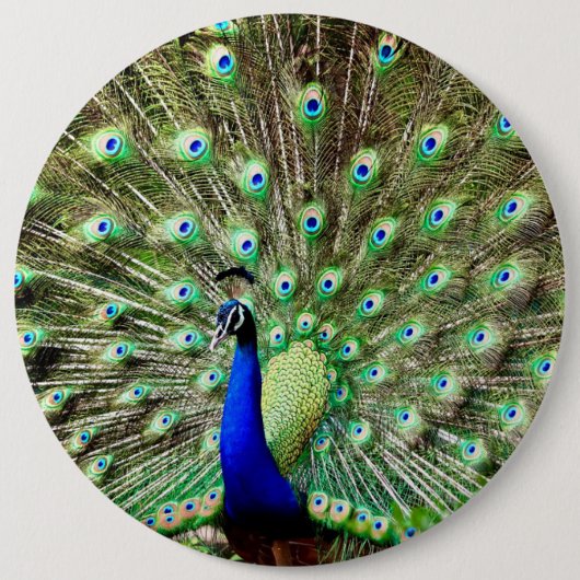 Königlicher Regentschafts-Pfau Button (Vorderseite)