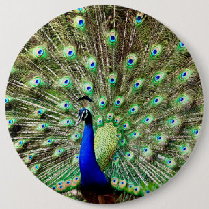 Königlicher Regentschafts-Pfau Button