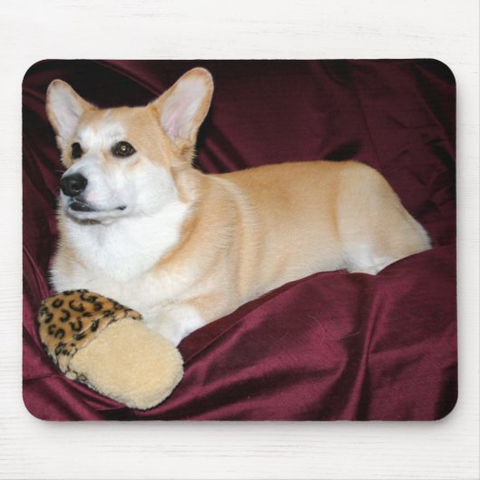 Königlicher schauender Pembroke-WaliserCorgi Mousepad (Vorne)