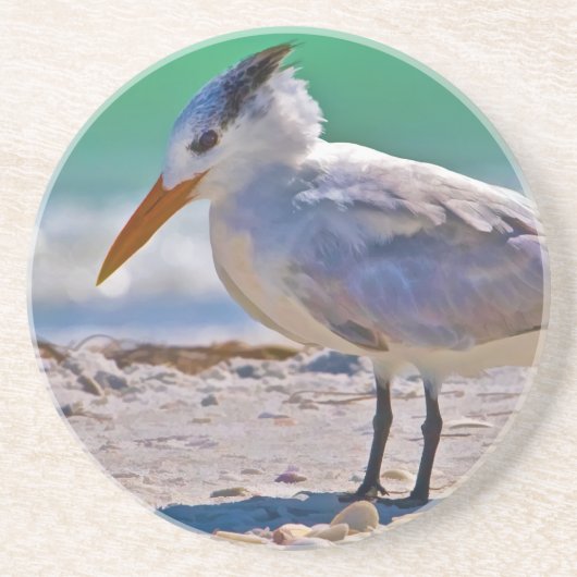 Königlicher Seeschwalben-Vogel-Untersetzer Getränkeuntersetzer (Vorne)