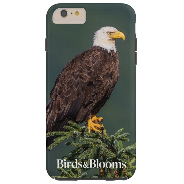 Königlicher Weißkopfseeadler Case-Mate iPhone Hülle (Rückseite)