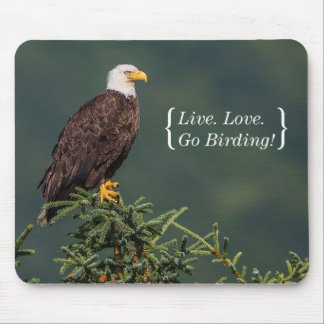 Königlicher Weißkopfseeadler Mousepad