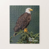 Königlicher Weißkopfseeadler Puzzle (Vertikal)