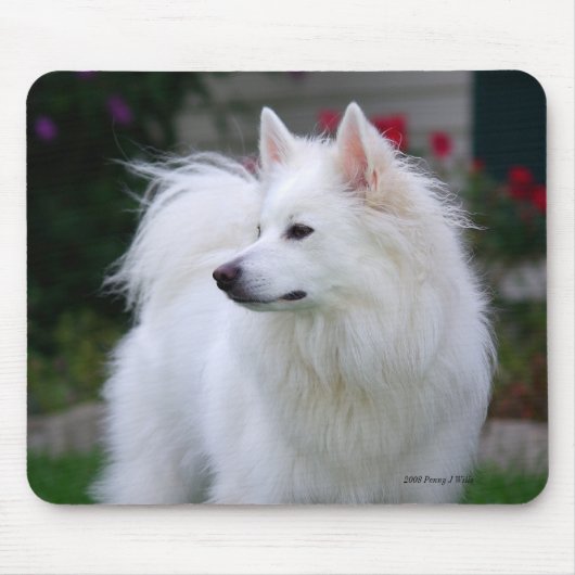 Königliches Eskie Mousepad (Vorne)