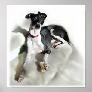 Königliches Iggie Poster