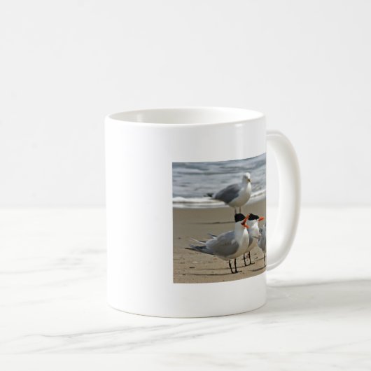 Königliches Seeschwalben-Foto Kaffeetasse (VorderseiteRechts)