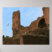 Königreich der Möwen Poster (Vorne)