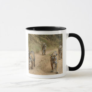 Königsbengaltiger Tasse